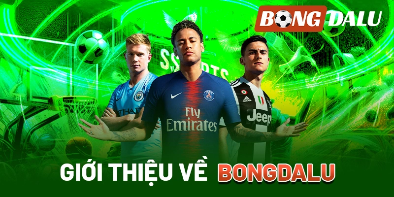 Tổng quan về bongdalu88